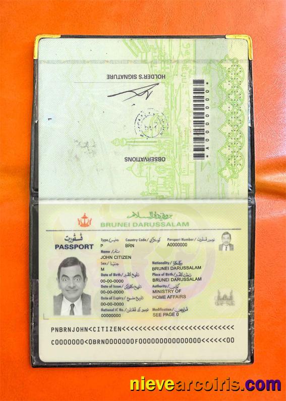 Brunei pass photolook